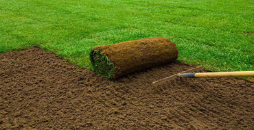 Turfing & Artificial Grass